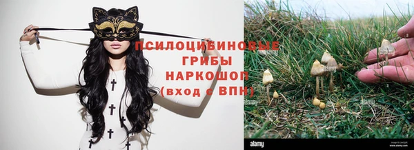 герыч Арсеньев