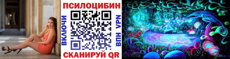 ссылка на мегу онион  где можно купить наркотик  Ветлуга  Галлюциногенные грибы мицелий 